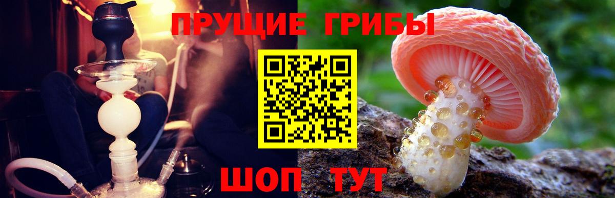 Псилоцибиновые грибы мицелий Орёл