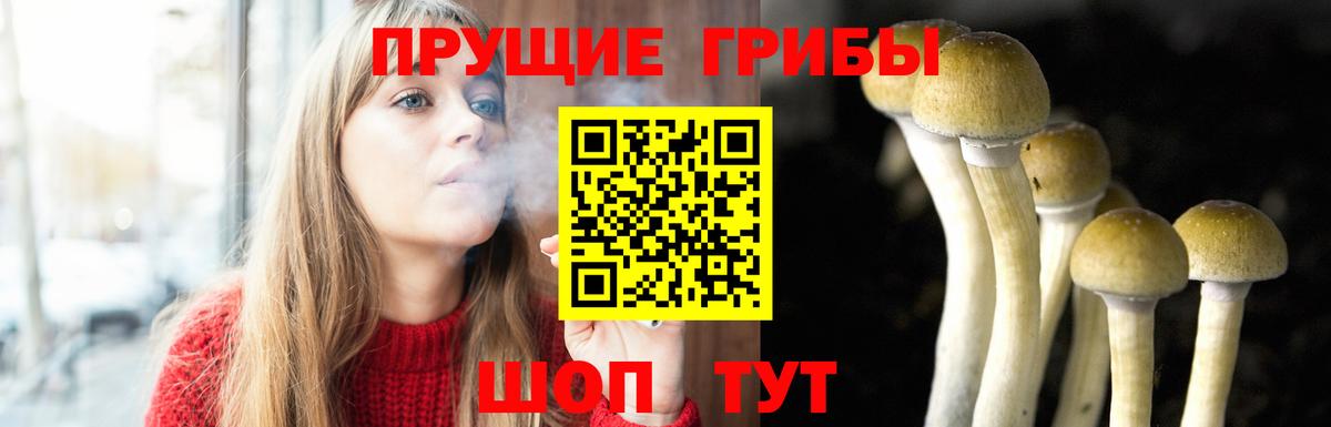 Псилоцибиновые грибы мухоморы  Вход с VPN  наркошоп  Орёл 