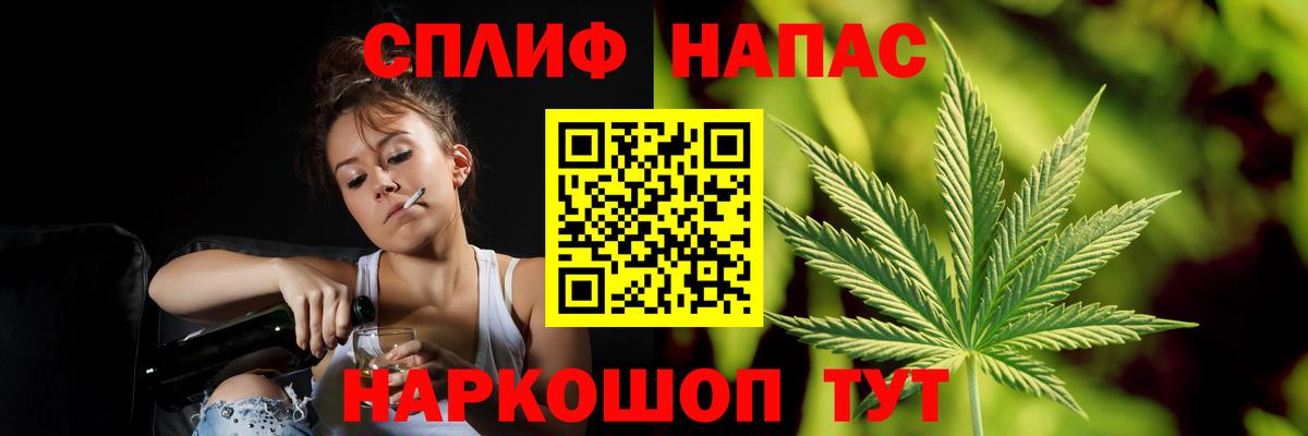 Канабис конопля Орёл